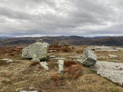 Staurskorsnibbene