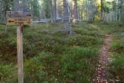 Joberget