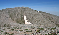 Kousakas