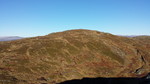 Fauskevarden
