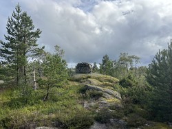 Stormyrheia