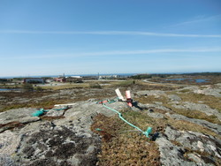 Vardheia