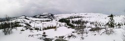 Nesten alle ni heiene i Bymarka