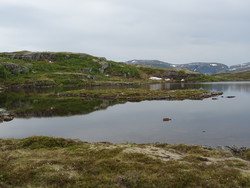 Finnpertjønna