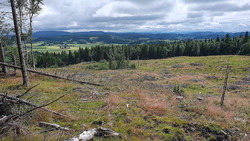 Heistadberget