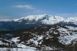 Lønahorgi