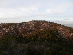 Hagaknuten
