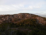 Hagaknuten