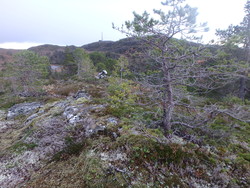 Preuthunseterhaugen