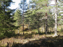 Nordre Brattåsen