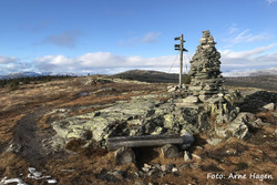 Forbundsfjellet