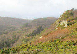Storafjellet