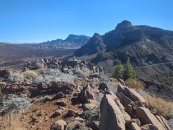 Pico unknown foreløpig