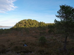 Kjeknoken
