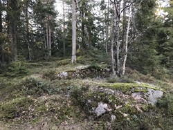 Skysethøgda Øst
