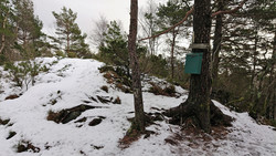Hjortåsen Sør