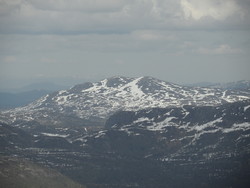 Breikvævnuten