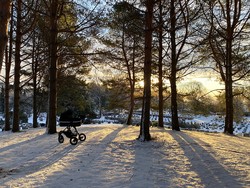 Gravhøgda