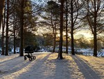 Gravhøgda