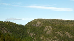 Navlen