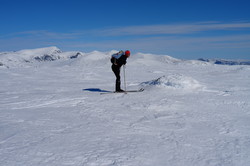 Skrabbelhøi