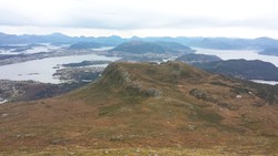 Svanshornet