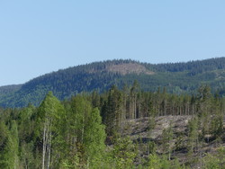Søndre Granberget