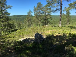 Stuttandershøgda