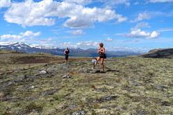 Veslhøa