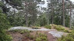 Østmarka nasjonalpark