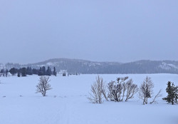 Luskaråsen