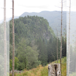Blåurskampen