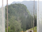 Blåurskampen