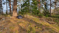Namløsnipe