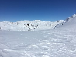 Eggjene