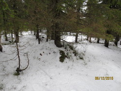 Fjellmyrhaugen