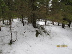 Fjellmyrhaugen