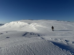 Blåstøyten