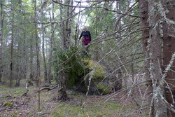 Andershovden
