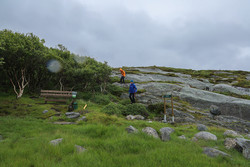 Haugsneset