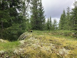 Mosjøen sørøst for