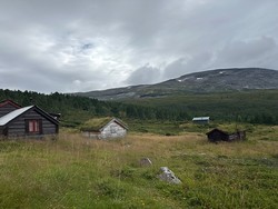 Kvitingsmorki