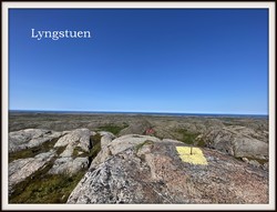 Lyngstuen