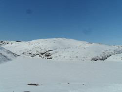 Nordheia
