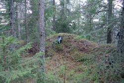 Maråsen