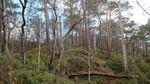 Reppåsen