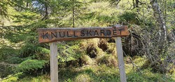 Knullskardet