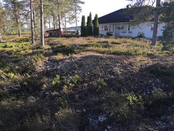 Knarten
