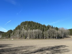 Nøtås