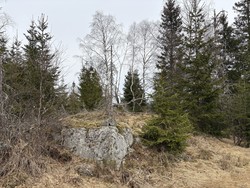 Bikkjetjernsåsen